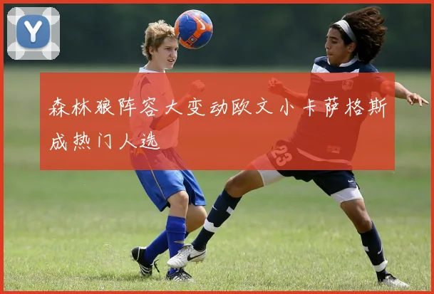 森林狼阵容大变动欧文小卡萨格斯成热门人选